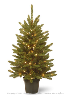 National Tree 4 Foot Kensington Tree with 100 Clear Lights in Green Growers Pot (KNT3-307-40) (Online $85)