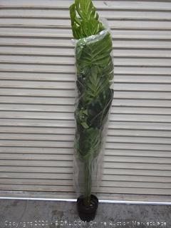 Botanica Greenery Tall Artificial Plant - Monstera deliciosa - Nearly 6 Foot Tall - Large Tropical Replica Plants for Indoor Decor (online $101)