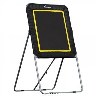 Champion Sports Deluxe Lacrosse Rebound Targets: Ball Return Bounce Back Net Set for Professional, College and Grade School Training, and Drills - Practice Offense, Passing Skills, and Shooting Accuracy (Retail $159.00)